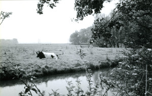 Nooitgedagtweiland_2